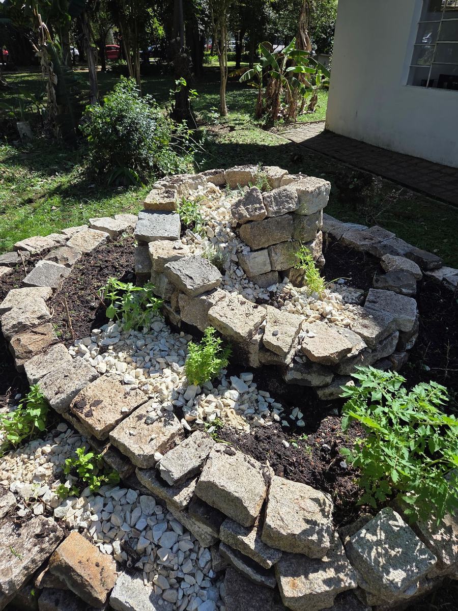 Espiral recém-plantada, com as mudas em cada nível