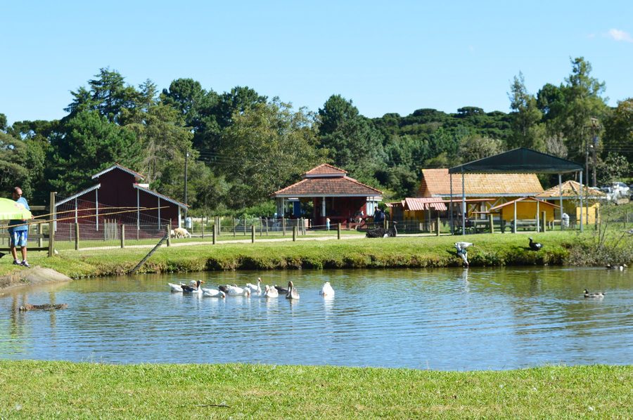 Cena rural com animais